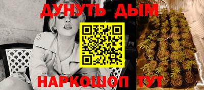 jwh Моздок